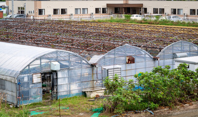 放置された壊れたビニールハウスの写真。