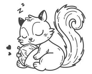 The squirrel sleeps peacefully, holding a oak acorn, its preferred meal.