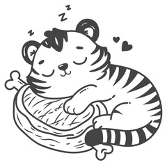 The tiger sleeps peacefully, holding a meat, its preferred meal.