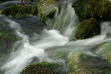 Region Teutoburger Wald im Frühling