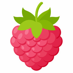 one-raspberries vector illustration 