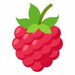 one-raspberries vector illustration 