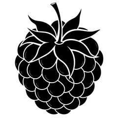  one-raspberries vector illustration 