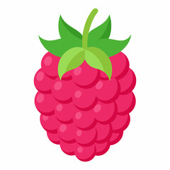  one-raspberries vector illustration 