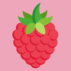  one-raspberries vector illustration 