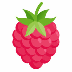  one-raspberries vector illustration 