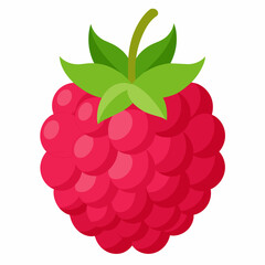  one-raspberries vector illustration 