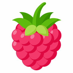 one-raspberries vector illustration 