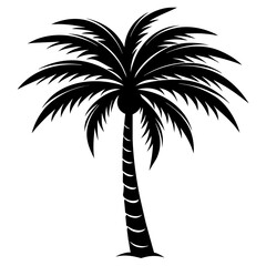 palm-tree-vector-illustration