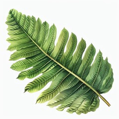 Vibrant green tropical leaf illustration, isolated on white background, showcasing detailed veins and lush foliage in high resolution.