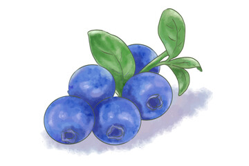 葉のついたブルーベリー