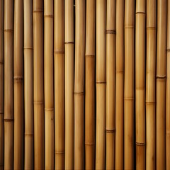 Fototapeta premium bamboo background