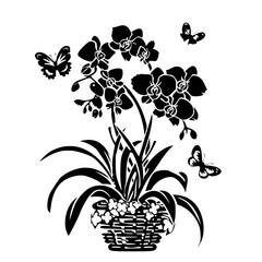 orchid silhouette, orchid svg, orchid png, orchid illustration, orchid, silhouette flower, floral svg, herb svg, flower illustration, flower, floral, vector, nature, illustration, spring, design, patt