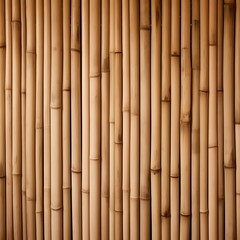 bamboo background