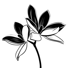 orchid silhouette, orchid svg, orchid png, orchid illustration, orchid, silhouette flower, floral svg, herb svg, flower illustration, flower, floral, vector, nature, illustration, spring, design,