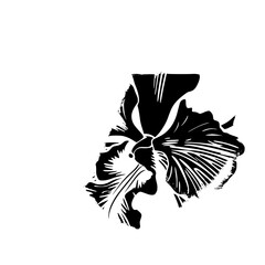 orchid silhouette, orchid svg, orchid png, orchid illustration, orchid, silhouette flower, floral svg, herb svg, flower illustration, flower, floral, vector, nature, illustration, spring, design,