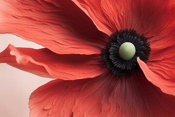 Close-up of vibrant red poppy flower, detailed petals, black stamens, green center, macro photography, floral beauty, nature's intricate design, botanical