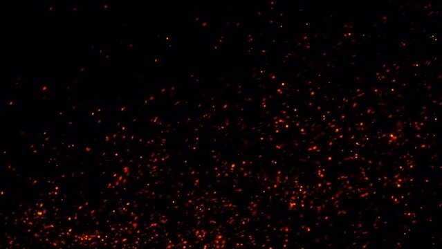Add intensity to your scenes with this vivid fire particles clip. With a PNG background and an Alpha channel, it&rsquo;s designed for maximum impact.