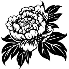 peony silhouette, peony svg, peony png, peony illustration, peony, silhouette flower, floral svg, herb svg, flower illustration, flower, floral, vector, nature, illustration, spring, design, pattern, 