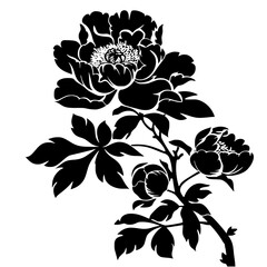 peony silhouette, peony svg, peony png, peony illustration, peony, silhouette flower, floral svg, herb svg, flower illustration, flower, floral, vector, nature, illustration, spring, design, pattern, 