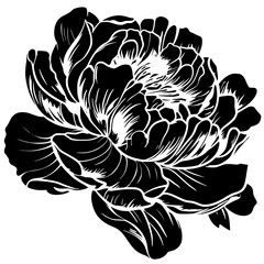 peony silhouette, peony svg, peony png, peony illustration, peony, silhouette flower, floral svg, herb svg, flower illustration, flower, floral, vector, nature, illustration, spring, design, pattern, 