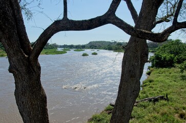 Zambezi river that borders South Africa and Zimbabwe