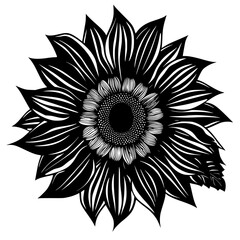 sunflower silhouette, sunflower svg, sunflower png, sunflower illustration, sunflower , silhouette flower, floral svg, herb svg, flower illustration, flower, floral, vector, nature, illustration, spri