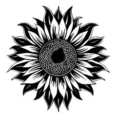 sunflower silhouette, sunflower svg, sunflower png, sunflower illustration, sunflower , silhouette flower, floral svg, herb svg, flower illustration, flower, floral, vector, nature, illustration, spri