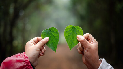 Green leaf in her hand was a symbol of love for nature, representing the concept of natural beauty...