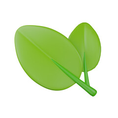 3d render  plant  illustration