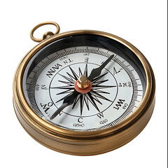 Compass, a metaphor for controlling the direction of an organization