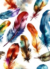colorful feathers on a white background