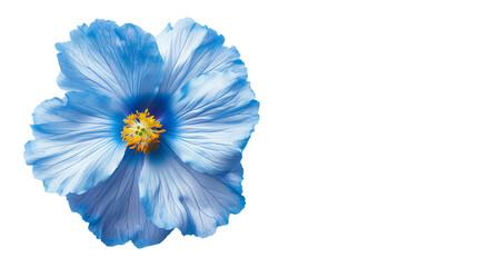 a close up view of a flower on a white surface