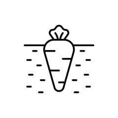 Carrot outline icons, minimalist vector illustration ,simple transparent graphic element .Isolated on white background