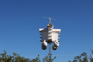 large complex bird house against cloudless deep blue sky