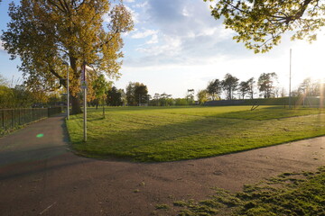 Obraz premium Park at sunset. Beautiful landscape in the park with green grass