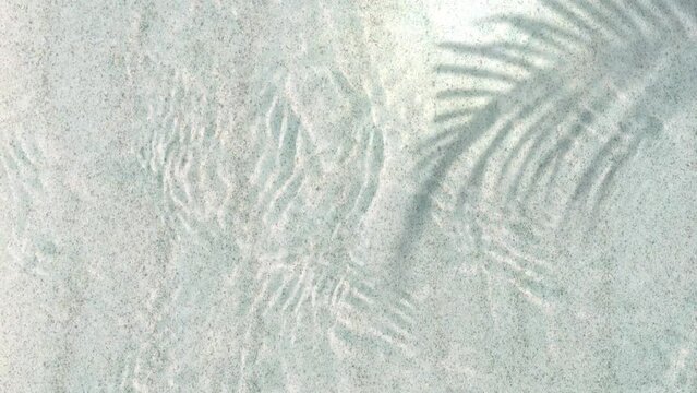 palm leaf shadow over sunny transparent rippled water at the sand beach in summertime from above, background for travel, vacation and beauty spa
