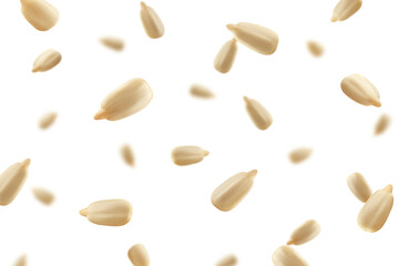 Falling Sunflower Seed, isolated on white background, selective focus