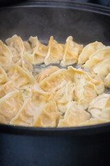 Fried dumplings on frying pan. Traditional food