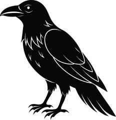 Raven and crow silhouette vector set design