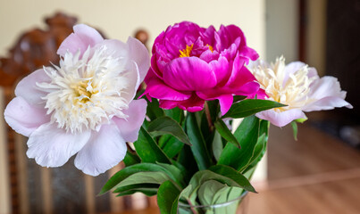 Beautiful rose flower in a vase