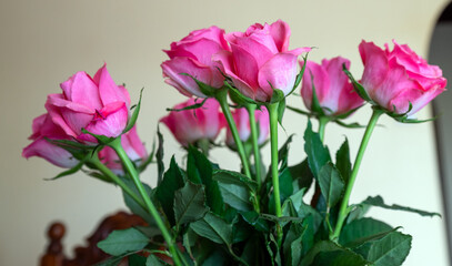 Beautiful rose flower in a vase