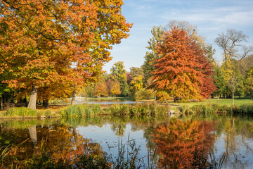 A tranquil lake reflecting autumn leaves surrounded by trees in a park