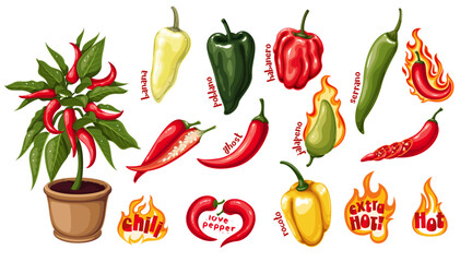 Hot chili peppers, cartoon stickers set. Different chilli peppers with names, plant with fruit in pot, pods cut into slices and half and typography patches in cartoon collection vector illustration