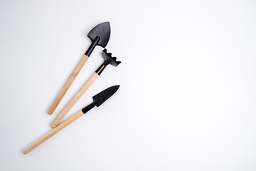 A set of gardening tools for caring for plants in the garden or at home. Florist and flower care concept