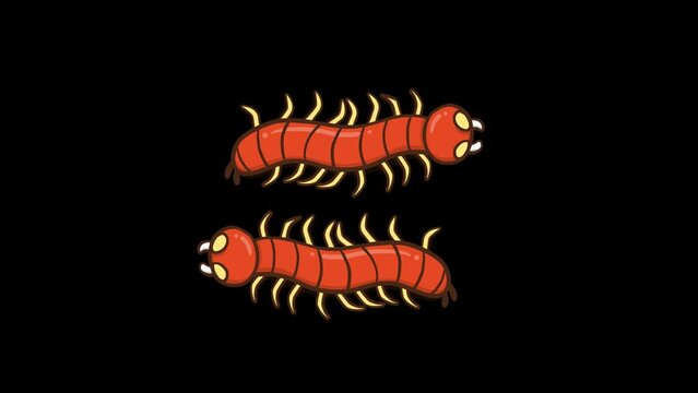 Animated Red Centipede Running - Transparent Background