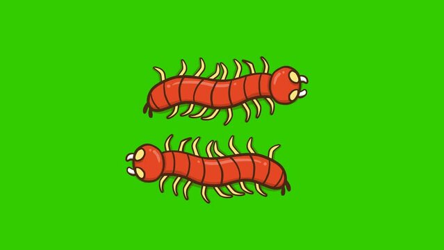 Animated Red Centipede Running - Green Screen