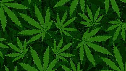 Marijuana leaves on a dark green background. Suitable for health and drug backgrounds