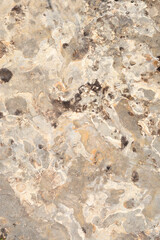 Detail of a stone surface on a sunny day