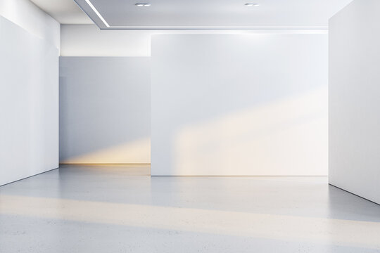 An empty modern gallery room, white walls and floor, sunlight casting shadows, for art exhibition concept. 3D Rendering